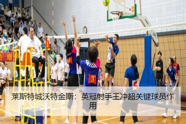 莱斯特城沃特金斯：英冠射手王冲超关键球员作用