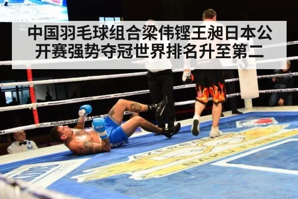 中国羽毛球组合梁伟铿王昶日本公开赛强势夺冠世界排名升至第二